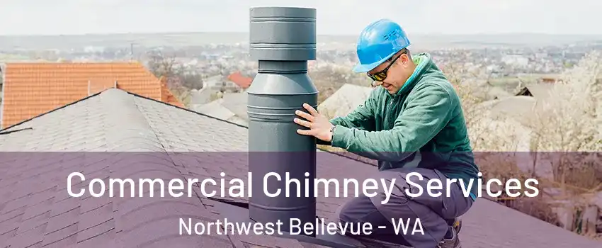 Commercial Chimney Services Northwest Bellevue - WA