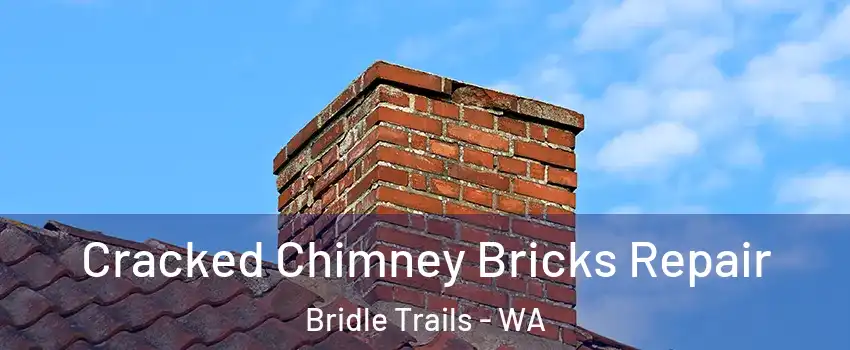 Cracked Chimney Bricks Repair Bridle Trails - WA
