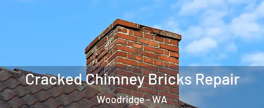 Cracked Chimney Bricks Repair Woodridge - WA