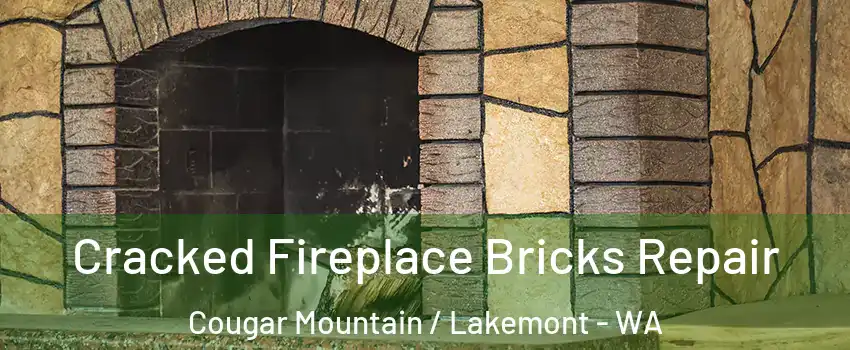 Cracked Fireplace Bricks Repair Cougar Mountain / Lakemont - WA