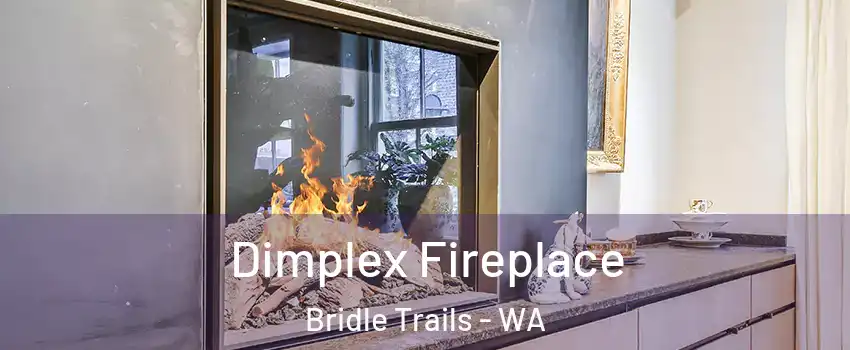 Dimplex Fireplace Bridle Trails - WA