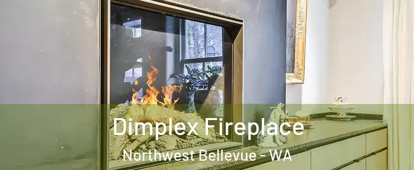 Dimplex Fireplace Northwest Bellevue - WA