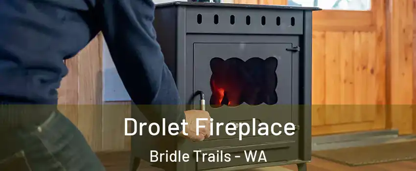 Drolet Fireplace Bridle Trails - WA