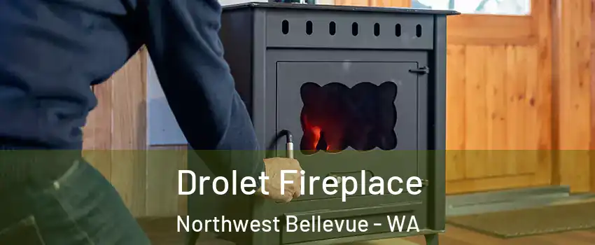 Drolet Fireplace Northwest Bellevue - WA