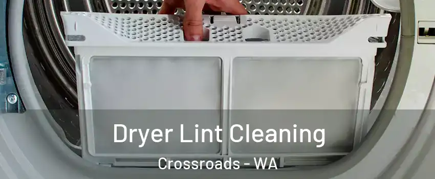 Dryer Lint Cleaning Crossroads - WA