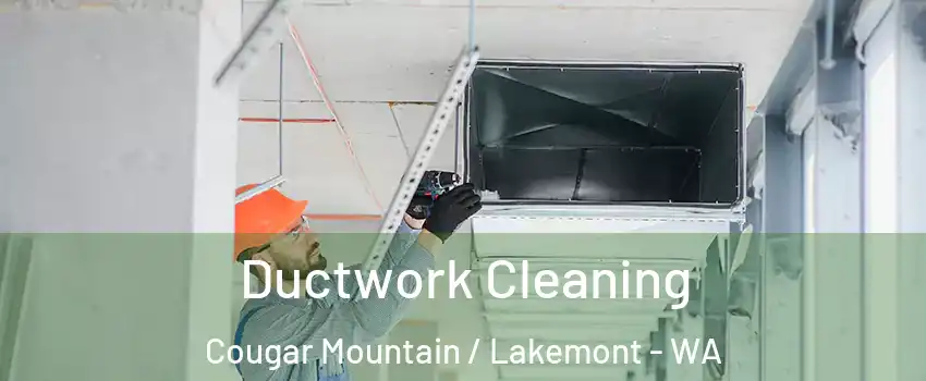Ductwork Cleaning Cougar Mountain / Lakemont - WA