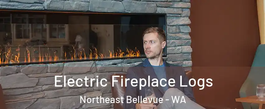 Electric Fireplace Logs Northeast Bellevue - WA