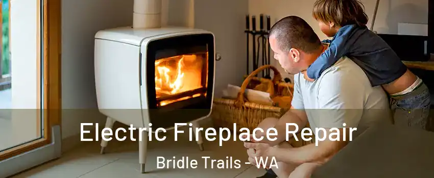 Electric Fireplace Repair Bridle Trails - WA