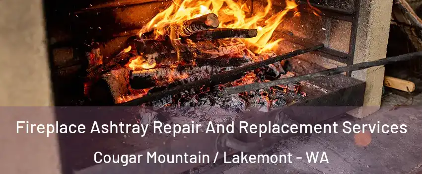 Fireplace Ashtray Repair And Replacement Services Cougar Mountain / Lakemont - WA