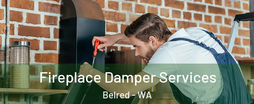 Fireplace Damper Services Belred - WA