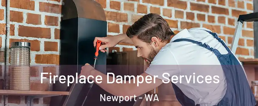 Fireplace Damper Services Newport - WA