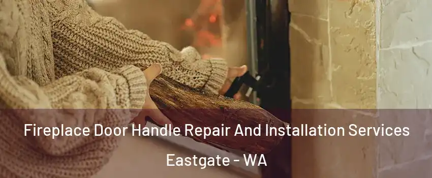 Fireplace Door Handle Repair And Installation Services Eastgate - WA