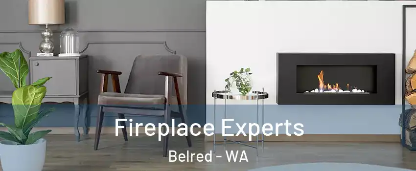 Fireplace Experts Belred - WA