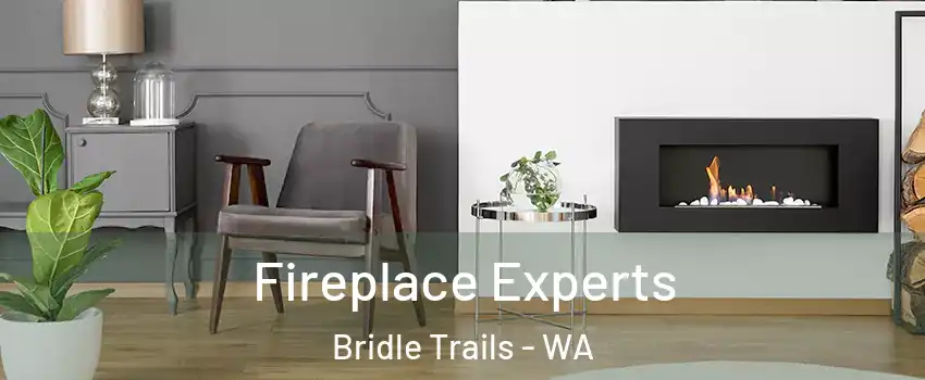 Fireplace Experts Bridle Trails - WA