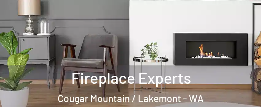 Fireplace Experts Cougar Mountain / Lakemont - WA