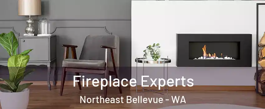 Fireplace Experts Northeast Bellevue - WA