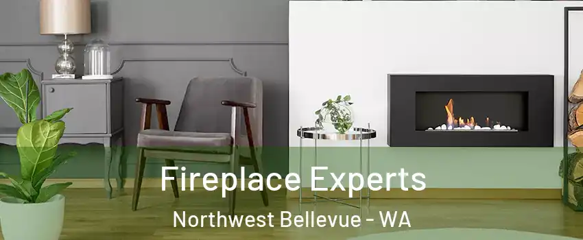 Fireplace Experts Northwest Bellevue - WA