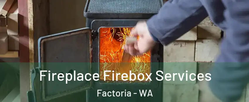 Fireplace Firebox Services Factoria - WA