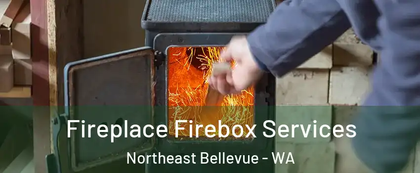 Fireplace Firebox Services Northeast Bellevue - WA