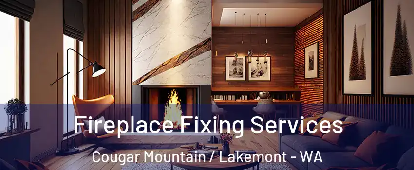 Fireplace Fixing Services Cougar Mountain / Lakemont - WA