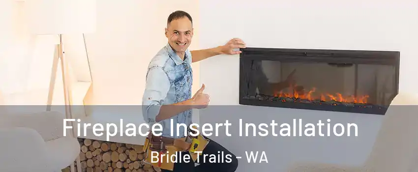 Fireplace Insert Installation Bridle Trails - WA