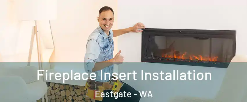 Fireplace Insert Installation Eastgate - WA