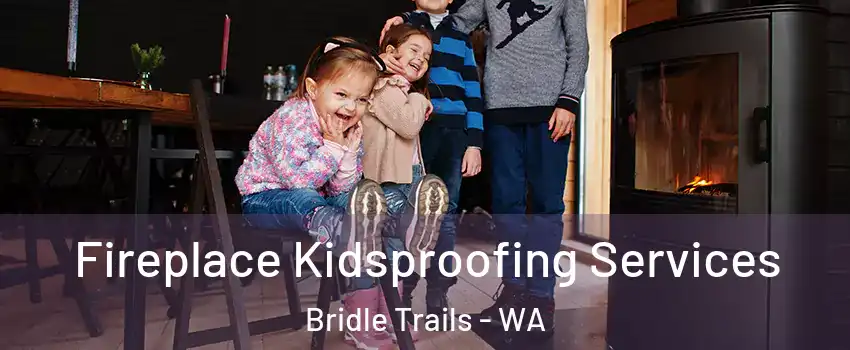 Fireplace Kidsproofing Services Bridle Trails - WA