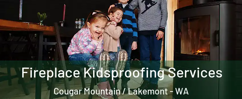 Fireplace Kidsproofing Services Cougar Mountain / Lakemont - WA