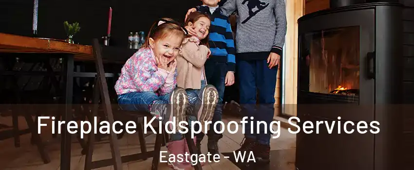 Fireplace Kidsproofing Services Eastgate - WA
