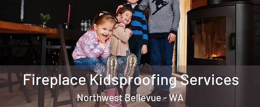 Fireplace Kidsproofing Services Northwest Bellevue - WA