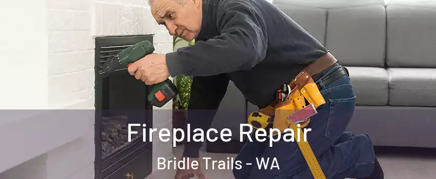 Fireplace Repair Bridle Trails - WA