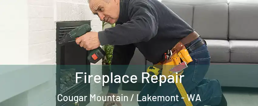 Fireplace Repair Cougar Mountain / Lakemont - WA