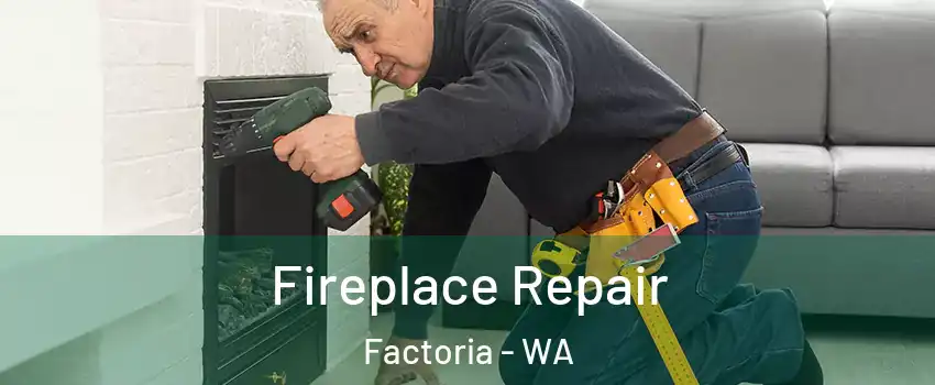 Fireplace Repair Factoria - WA