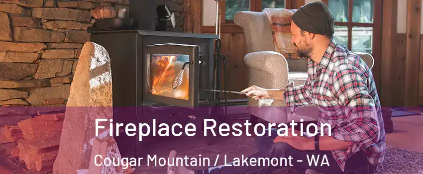 Fireplace Restoration Cougar Mountain / Lakemont - WA