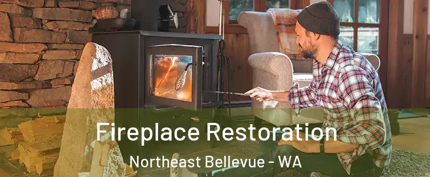 Fireplace Restoration Northeast Bellevue - WA