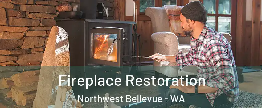 Fireplace Restoration Northwest Bellevue - WA