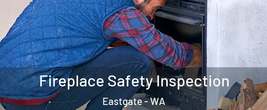 Fireplace Safety Inspection Eastgate - WA