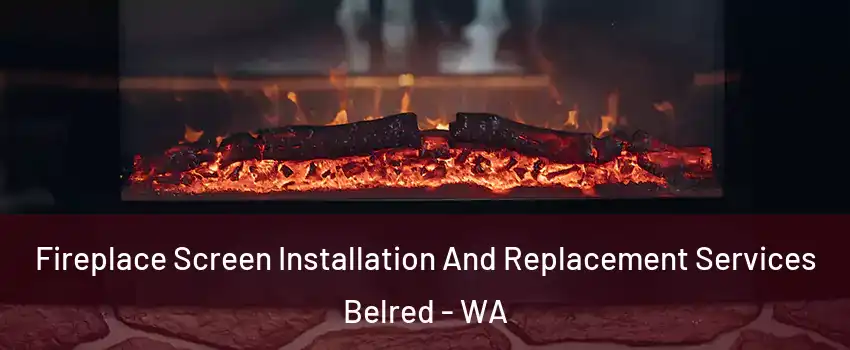Fireplace Screen Installation And Replacement Services Belred - WA
