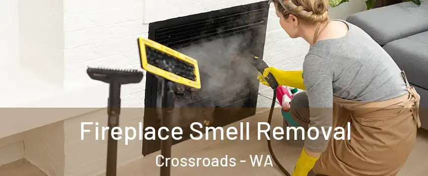 Fireplace Smell Removal Crossroads - WA