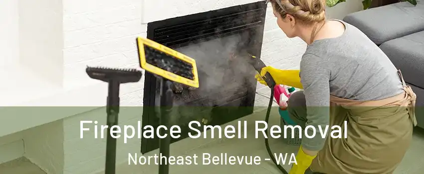 Fireplace Smell Removal Northeast Bellevue - WA