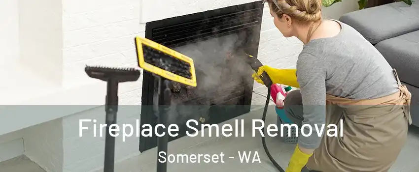 Fireplace Smell Removal Somerset - WA