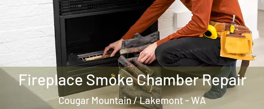 Fireplace Smoke Chamber Repair Cougar Mountain / Lakemont - WA