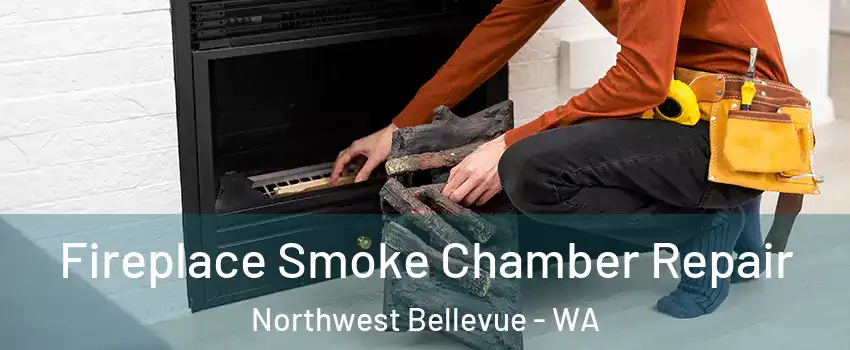 Fireplace Smoke Chamber Repair Northwest Bellevue - WA