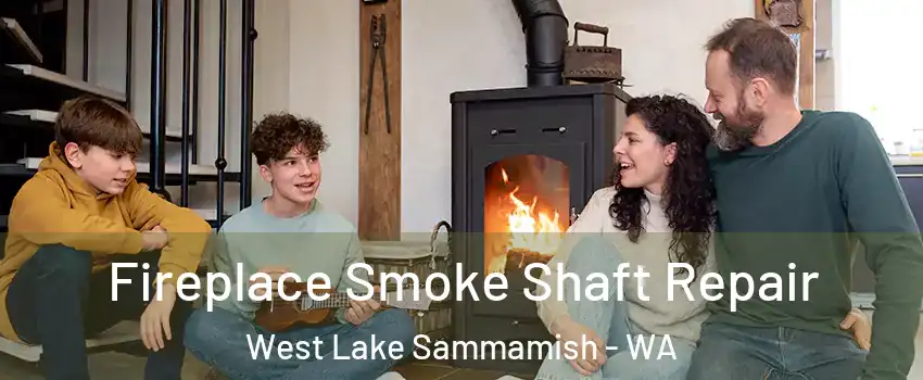 Fireplace Smoke Shaft Repair West Lake Sammamish - WA