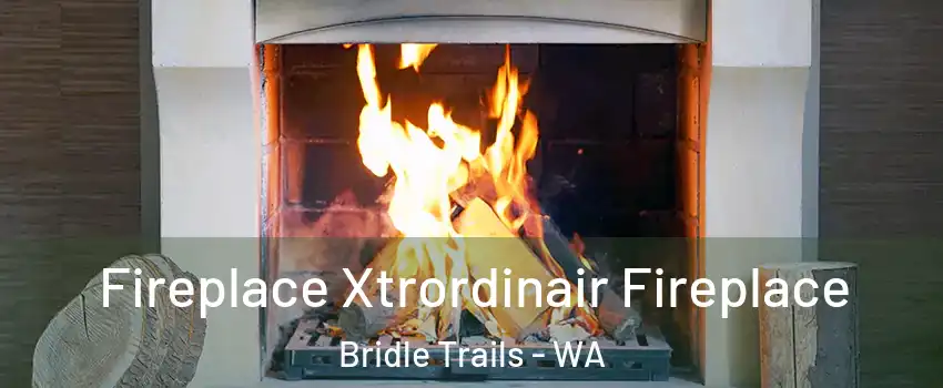 Fireplace Xtrordinair Fireplace Bridle Trails - WA