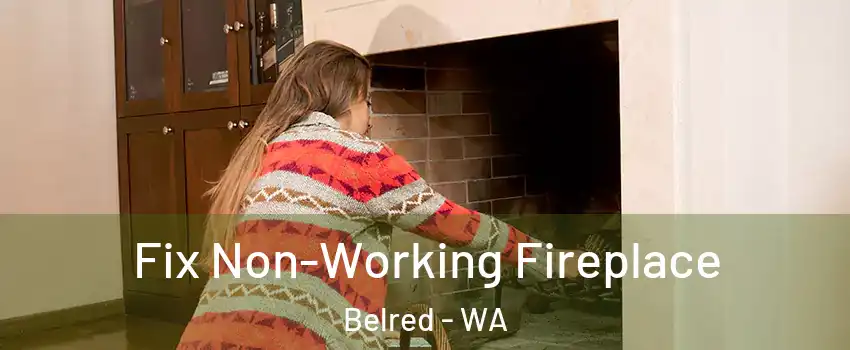 Fix Non-Working Fireplace Belred - WA