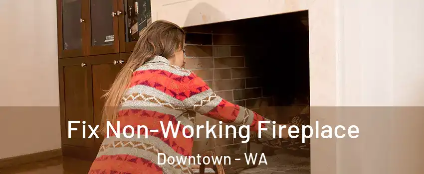 Fix Non-Working Fireplace Downtown - WA