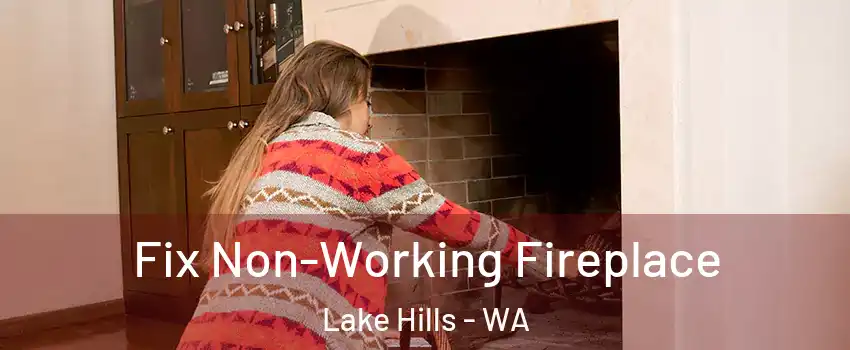 Fix Non-Working Fireplace Lake Hills - WA