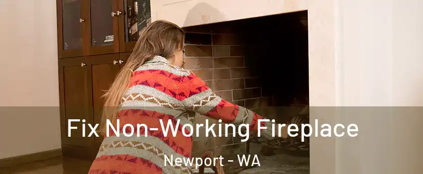 Fix Non-Working Fireplace Newport - WA