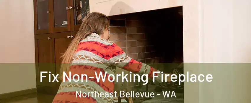 Fix Non-Working Fireplace Northeast Bellevue - WA